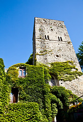 Image showing Castle covered by ivy