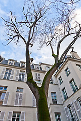 Image showing Paris - Place de Fustemberg