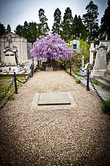 Image showing Cemetery architecture - Europe