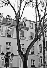 Image showing Paris - Place de Fustemberg