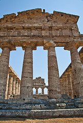 Image showing Paestum temple - Italy