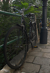 Image showing Old bicycle