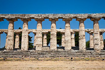 Image showing Paestum temple - Italy