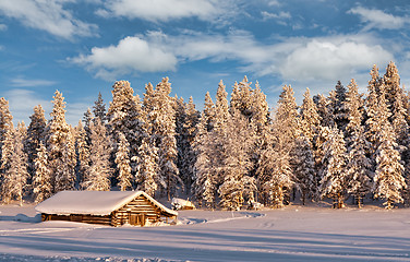 Image showing dug in the winter frosty forest