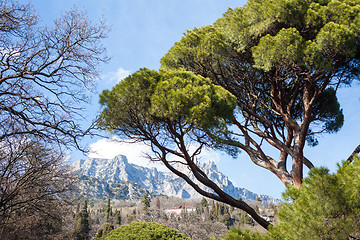 Image showing Landscape with Mountains and Trees