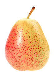 Image showing Single a orange fresh pear