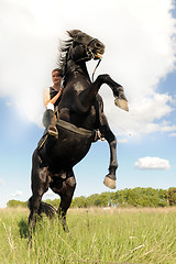 Image showing rearing horse