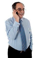 Image showing Business professional communicating via phone