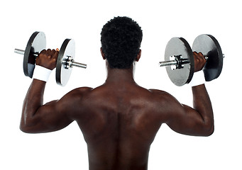 Image showing Rear view of a young male bodybuilder