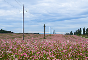 Image showing Power line