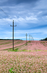 Image showing Power line