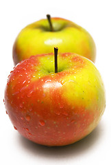 Image showing Two Colorful Apples w/ Waterdrops