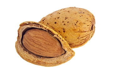 Image showing Almond