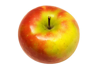 Image showing Red Yellow Apple w/ Path (Angle View)