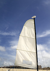 Image showing Sail