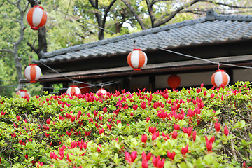 Image showing spring in Japan