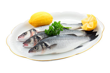 Image showing Fresh sea bass