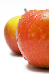 Image showing Two Red-Yellow Apples w/ Raindrops (Close View)