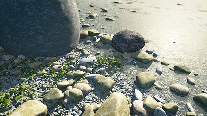 Image showing pebbles