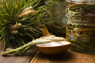 Image showing Natural medicine - syrup made of pine sprouts 