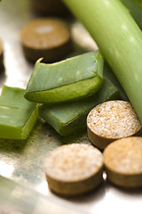 Image showing aloe vera plant with pills - herbal medicine