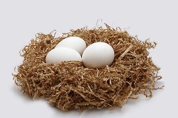 Image showing Nest with eggs