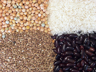 Image showing Beans and grain four quarters