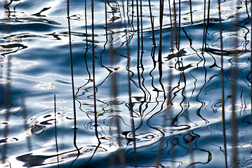 Image showing Water reflections