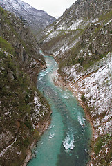 Image showing Tara river