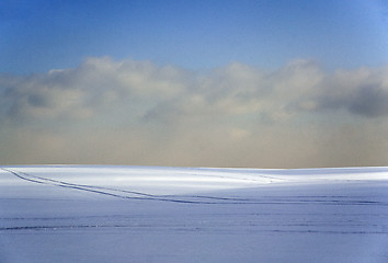 Image showing Tracks in the Russian fields