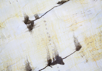 Image showing Beige fabric as background