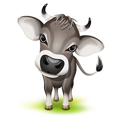 Image showing Little swiss cow