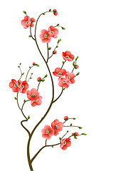 Image showing cherry blossom branch abstract background