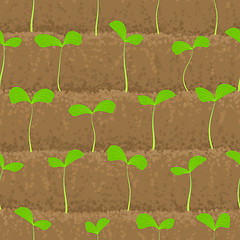 Image showing sprout, shoot vegetable patches in row seamless