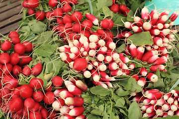 Image showing bundles of red and white radishes at market