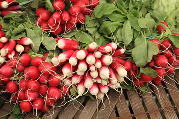 Image showing bundles of red and white radishes at market