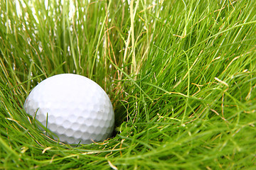 Image showing golf ball in the green grass