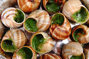 Image showing snails with herb butter