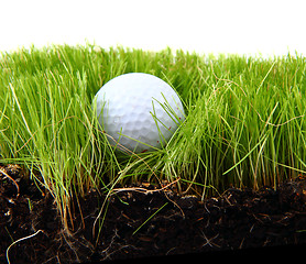 Image showing golf ball in the green grass