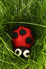 Image showing ladybird from plasticine