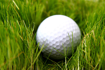 Image showing golf ball in the green grass