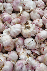 Image showing garlic background