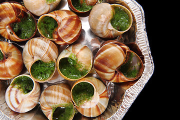 Image showing snails with herb butter