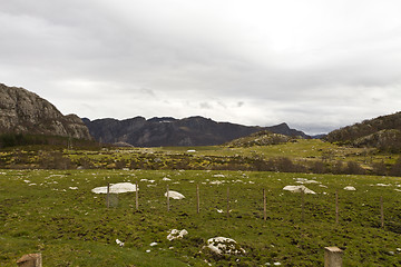 Image showing rural grasslands in norway