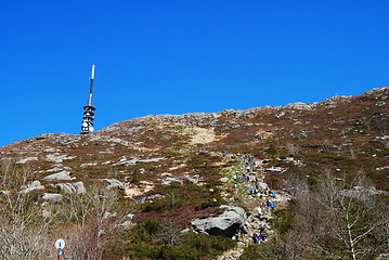 Image showing to the top of Ulriken Bergen
