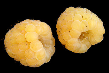 Image showing two yellow raspberries