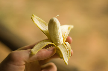 Image showing Miniature banana