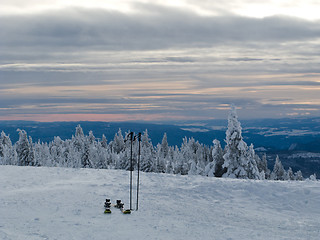 Image showing Skis waiting