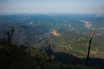 Image showing View from God's Window, South Africa