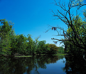 Image showing Blue bayou
